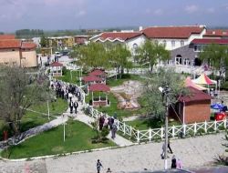 Heybeli Termal Tesisleri'nde Ağaçlandırma Yapılıyor!