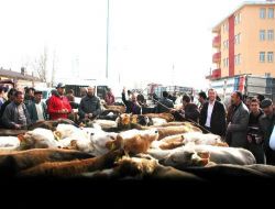 İthal Eti Protesto Eden Üreticiler, Kars-Ardahan Karayolunu Trafiğe Kapattı!