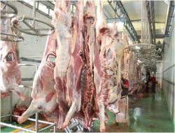 Balıkesirli Et Üreticileri: İthalatta Denge Sağlanamazsa Tsunami Olur!