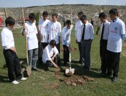 Talas Belediyesi 15 Bin Fidan Dikimine Başladı