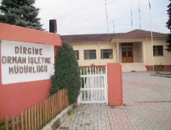 Dirgine Orman İşletmesi 3 Milyon Lira Kar Etti!