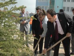Selçuklu Belediyesi 125 Bin Fidanı Toprakla Buluşturdu