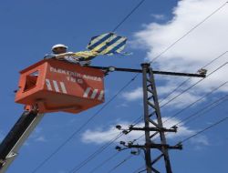Elektrik Şirketinden Uçurtma Hattı