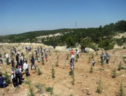 Genç İşadamları Hatıra Ormanı Oluşturdu