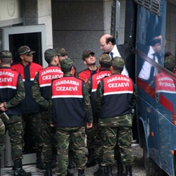 'Titrek Hamsi Örgütlü' Savunma!