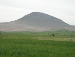Çumra Kaymakamı Yazıcı Mevsimlik Tarım İşçilerine Konaklama Alanları Oluşturdu