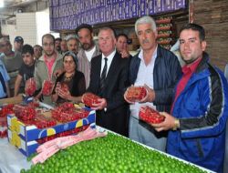 Kemalpaşa'nın Bağyurdu Beldesinde İlk Kiraz Çıktı