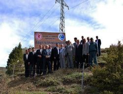 Tokat'ta Binlerce Fidan Toprakla Buluştu