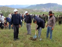 Kaymakamlık Ve Dsi Dargeçit'te 2 Bin Zeytin Fidanı Dikti