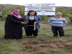 Topladıkları Parayla Aldıkları 2 Bin Fidanı Toprakla Buluşturdular