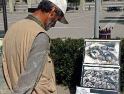 Lozan'ın Gizlenen Dosyaları Fotoğraf Ve Belgeleri Osmaniye'de Sergilendi