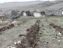 11 Sanık 3 Bin 920 Adet Fidan Dikti