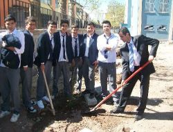 Küresel Isınmaya Dikkat Çekmek İçin Beton Zemini Kırıp Ağaç Diktiler