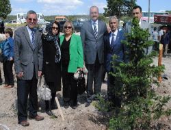 Ayşe Selen Ayla'nın Anısına 20 Bin Fidan Dikiliyor
