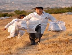 Kayıp İş Adamını Arama Çalışmalarında İnsan Kemikleri Bulundu