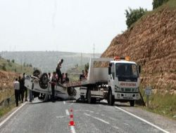 Otomobil At Arabasına Çarptı: At Öldü, 7 Kişi Yaralandı