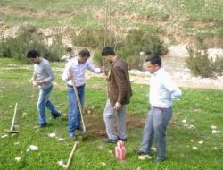Silkor-der Silopi'de Bin 600 Fidan Dikti