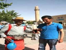 Meyan Şerbeti Derde Deva