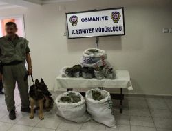 Osmaniye'de 40 Kilo Esrar Ele Geçirildi!