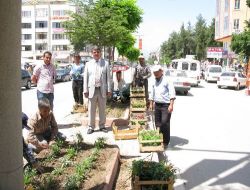 Bucak'ta Caddeler Yeşillendiriliyor