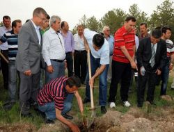 "Her Engelli İçin Bir Ağaç Kampanyası"