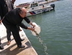 Eğirdir Gölü'ne 200 Bin Sazan Yavrusu Bırakıldı