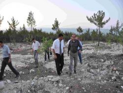 Yeşil Bantlar Orman Yangınlarında Zayiatı Aza İndirecek