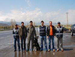 Bitlis Yolu Üzerinde 7 Kilogram Toz Esrar Ele Geçirildi!