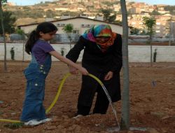 Mardin'deki Parklarda Ağaç Dikimi Başladı