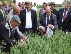 Yozgat'ta Süne ve Kımıl Mücadelesi Başladı