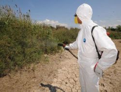 İzmir'de Keneye Erken Önlem