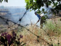 Türkiye-suriye Sınırında Bulunan Mayınlı Sahada Yangın Çıktı!