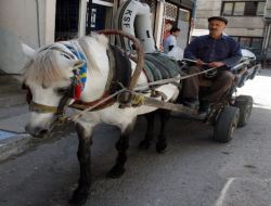 Giresun'un Son At Arabası Ustası