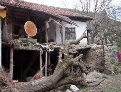Dul Kadının Yıkılmak Üzere Olan Evinin Yenisi Yapıldı