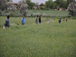 Yozgat'ta Yağan Yağmur Çiftçinin Yüzünü Güldürdü