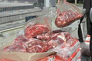 KOÇ GİBİ BUFALOLAR