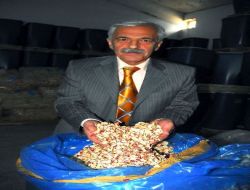 Elma Cipsiyle Obeziteye Savaş Açtılar!!