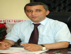 Hasat Sırasında 600 İle 750 Bin Ton Buğday Kaybı Yaşanıyor