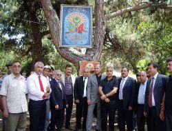 Osmanlı Armaları Çam Dallarında Sergilendi