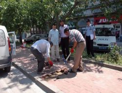 Gemlik'te Mobese Sistemi İçin Çalışmalar Başladı