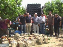 İspanya'nın Ünlü Meyveleri Davutlar Bölgesini Sevdi