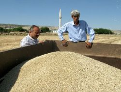 Gaziantep'teki İlk Arpa Hasadı Çiftçilerin Yüzünü Güldürdü
