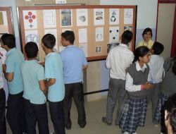 Cizre İmkb Fen Lisesi 'bilim Şenliği' Düzenledi