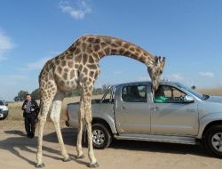 Balıkesirli İşadamları Rotalarını Güney Afrika'ya Çevirdi