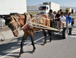 At Arabalı Taşımalı Eğitim