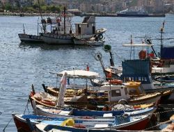 Marmara'daki Balıkçıların Umudu Karadeniz'den Gelecek Balıklar!