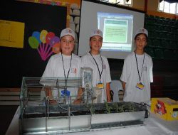 Raylı Sera Sistemi Organik Tarımda Verimi 3 Kat Artıracak