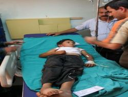 Erzincan'da Kurt 13 Kişiyi Yaraladı