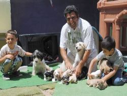 Terrier Ve Kaniş Cinsi Köpek Yavrularına Gönüllü Bakıcı Arıyor