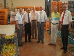 Vali Erkmen: Seralar Tarımda İstihdamı Önemli Miktarda Arttırıyor